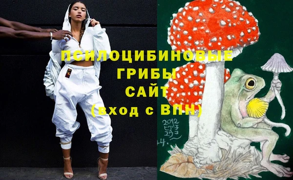 прущая мука Белокуриха