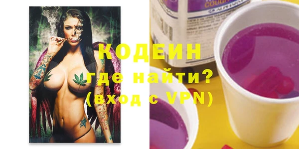 индика Беломорск