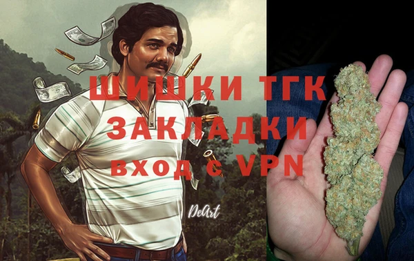 индика Беломорск