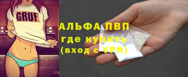 индика Беломорск