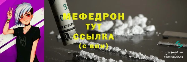 индика Беломорск