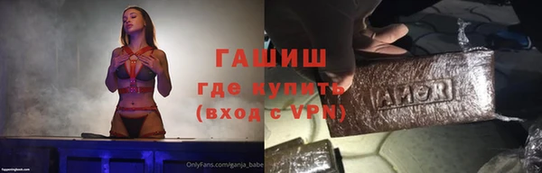 индика Беломорск