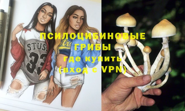 прущая мука Белокуриха
