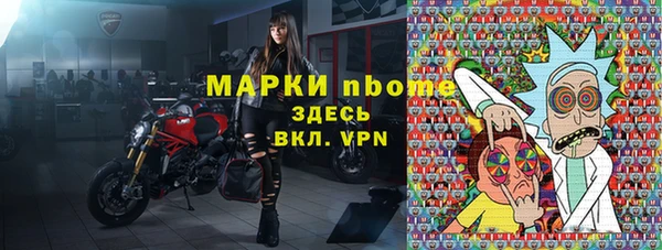 индика Беломорск