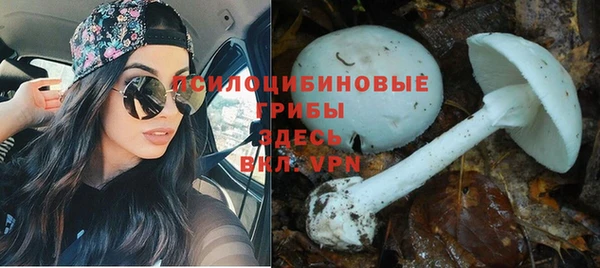 прущая мука Белокуриха