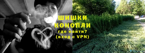 индика Беломорск